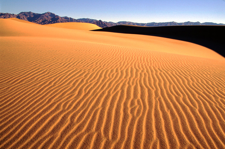 DUNES05_lg.jpg