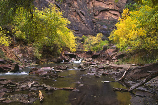 ZION08