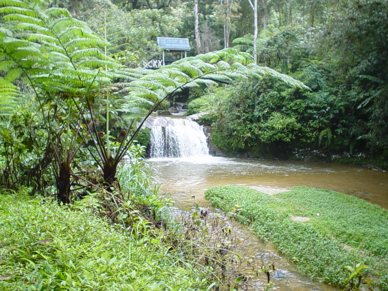 Cameron Highlands waterfall
