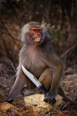 Monkeyknife.jpg