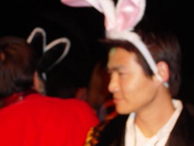 16003857.fluffybunny007.jpg