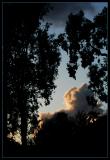 North Oakland Cloudscape #20