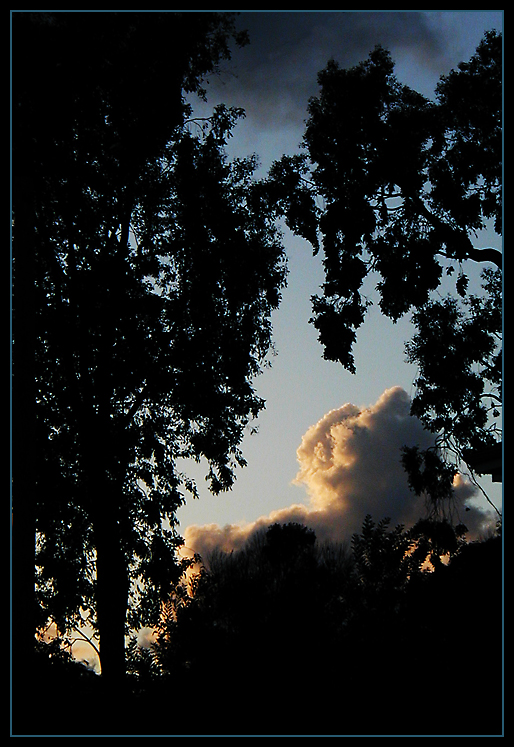 North Oakland Cloudscape #20
