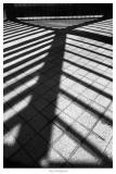 light_shadow_lines(1)