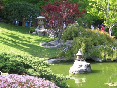 Japanese Garden1