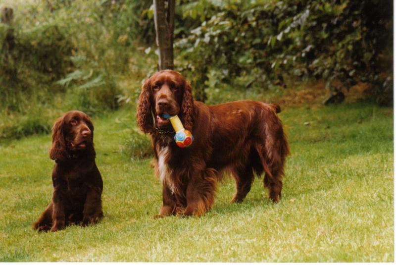Bradley and Trefor