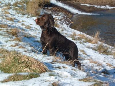 Bradley, Dare Valley Park, Winter 2003