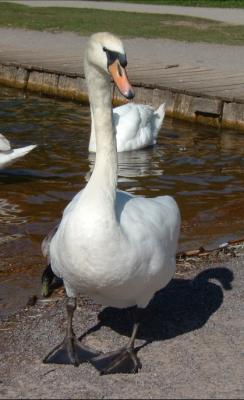 What big feet you have.....
