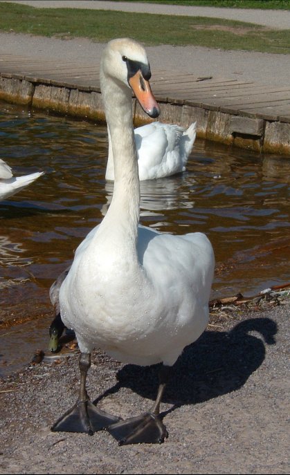 What big feet you have.....