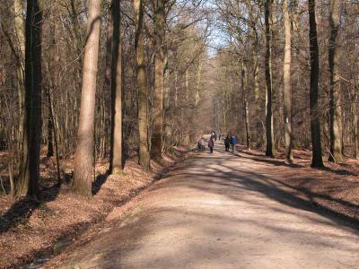 wandelen