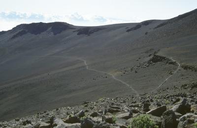 6-02 Overlooking Sliding Sands Trail, 9778'