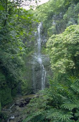 2-15 Waterfall past Hana