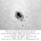 Active Region 0087