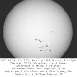 Solar Active Regions