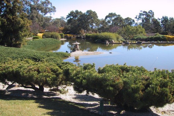 Cowra gardens 5