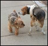 Olfactory handshake