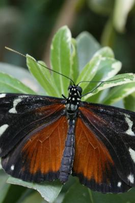 E40B5664_crop2.jpg