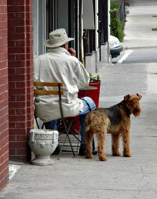 Sidewalk Diner and his Dog