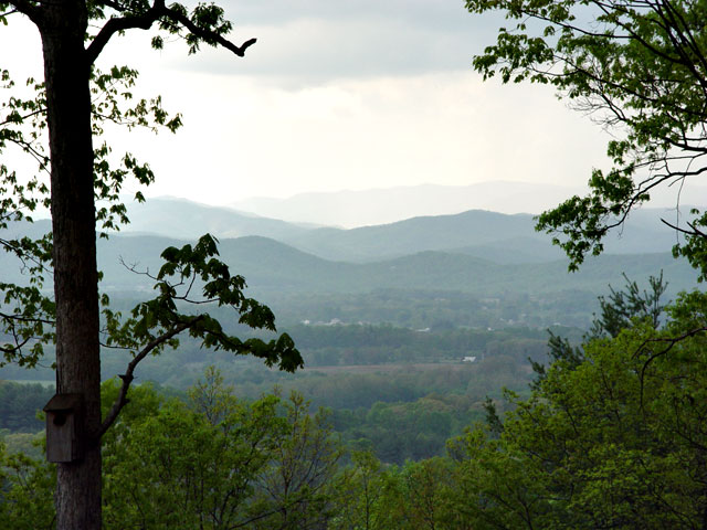 View from Back