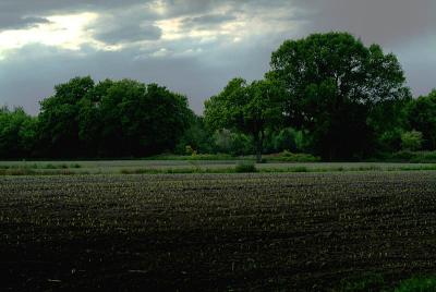 DSCF2197.jpg
