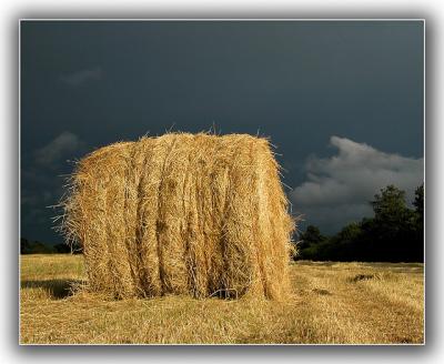 Hayfield Sundown