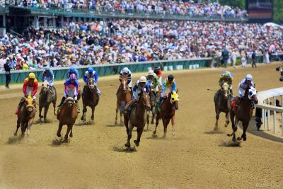 Kentucky Derby 2003 - Selected Pictures