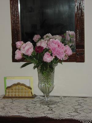 u27/jhales/medium/16356845.RotationofP1010048.jpg
