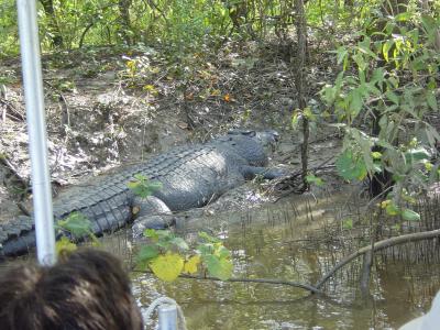 Adelaide River - croc spotting