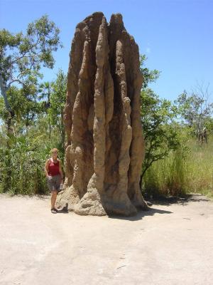 Litchfield - termite mound