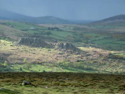 Evening Light Haytor Down