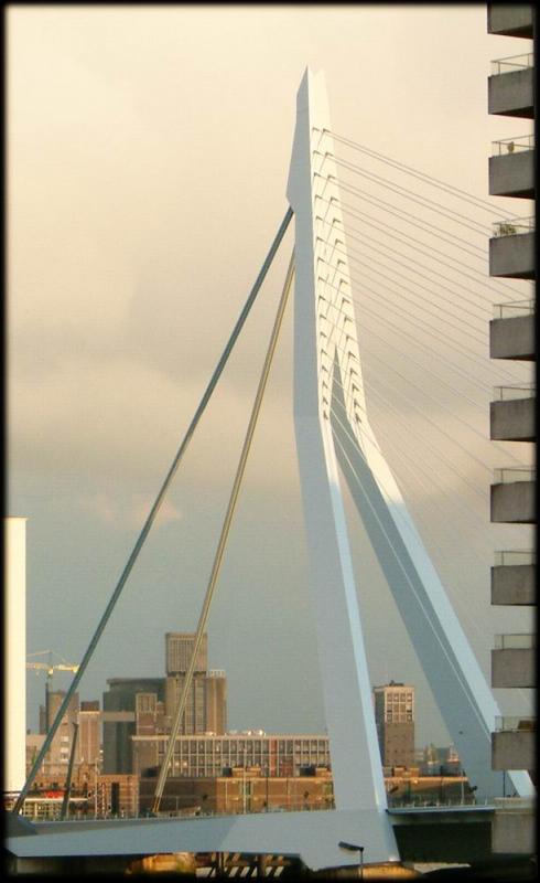 DSCF8130a.jpg
