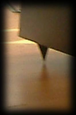 Close up of the needle type of foot. Need a good surface quality ofthe floor