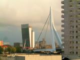 DSCF8130.jpg