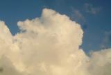 DSCF8131.jpg