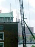 DSCF8174.jpg