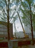 DSCF8179.jpg