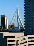 DSCF8414.jpg