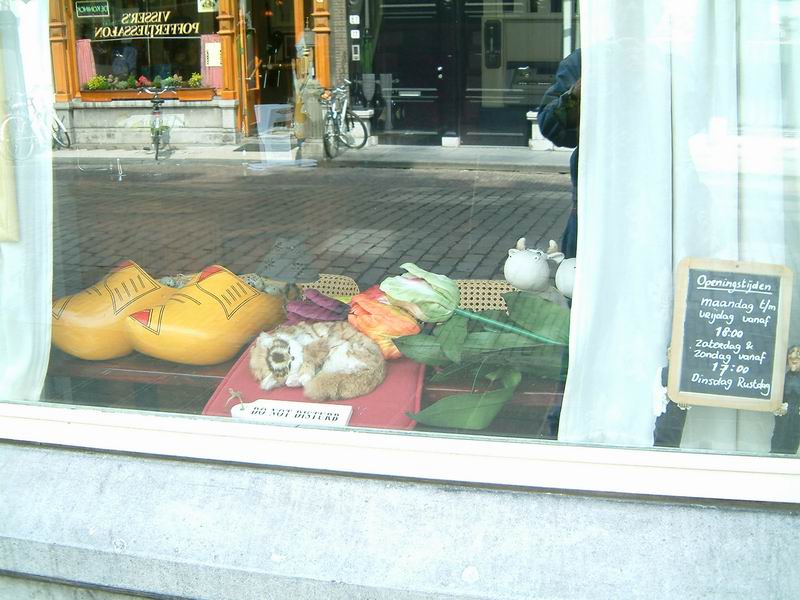 DSCF8073.JPG