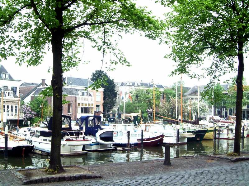 DSCF8120.jpg