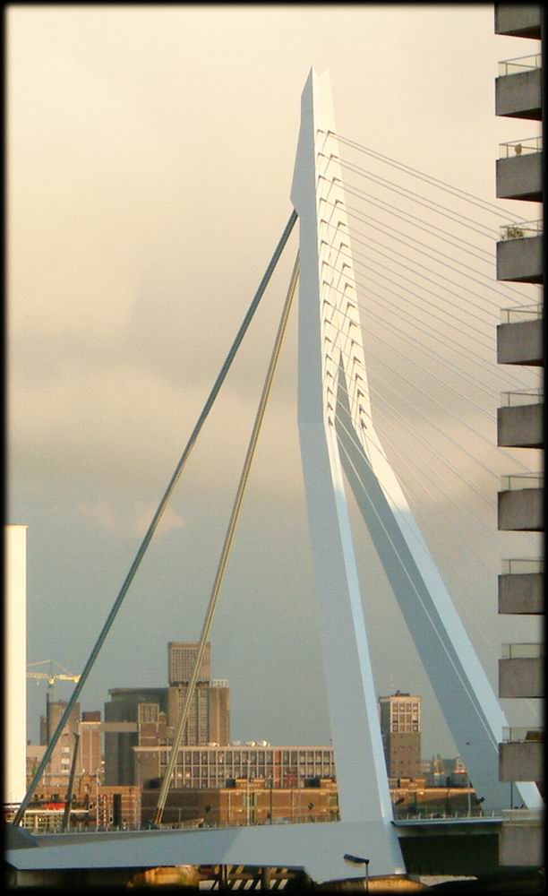 DSCF8130a.jpg