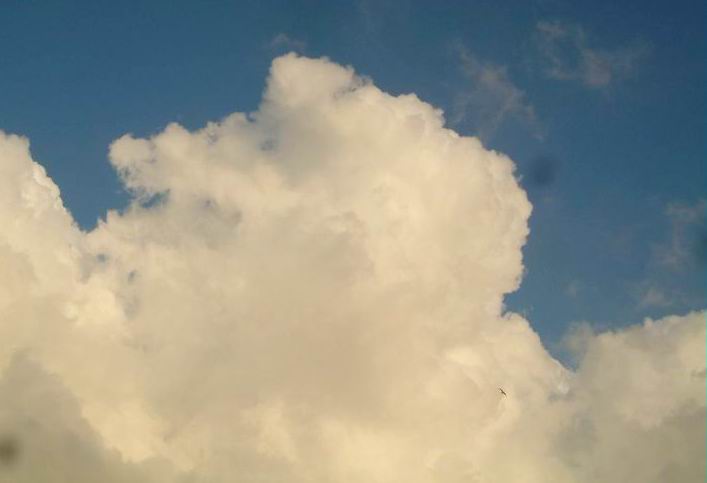 DSCF8131.jpg