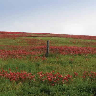 Post-In-A-Sea-Of-Red