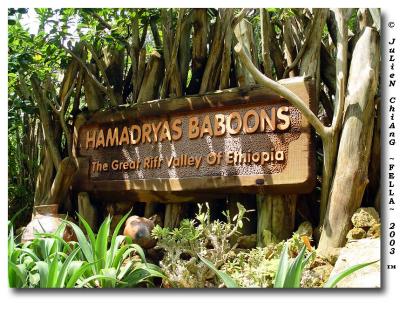 Home of the Baboons