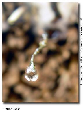 Droplet