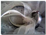 ROM Rings