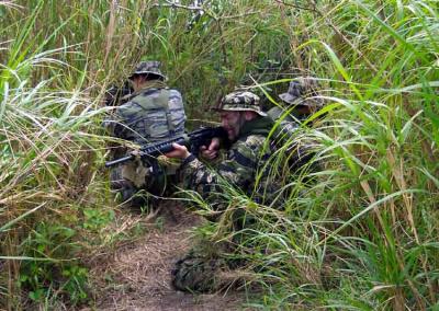 Ambush 2