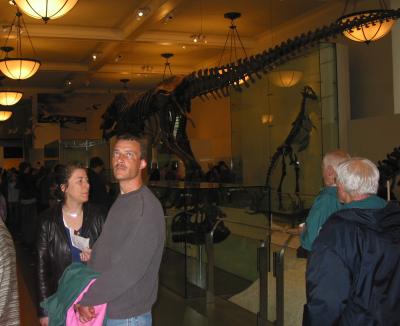 Dinosores