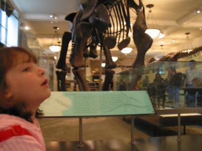 More bones