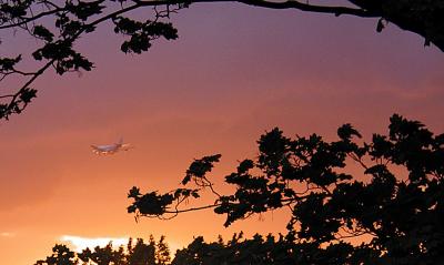 u27/ken_buckle/medium/16329830.Sunset2.jpg