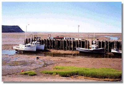 The same boats at low tide